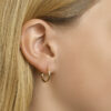 oorringen 1,5 mm vierkant 14K geelgoud - Afbeelding 2