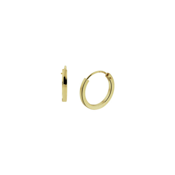 oorringen 1,5 mm vierkant 14K geelgoud