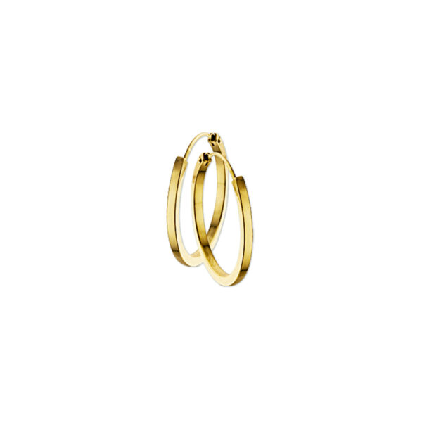 oorringen 1,5 mm vierkant 14K geelgoud