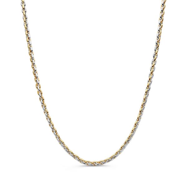Collier bicolor