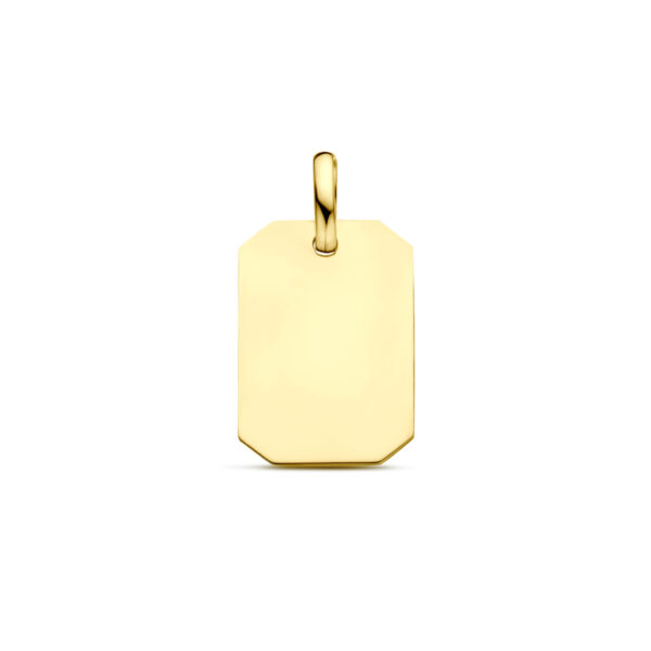 9k graveerhanger 20 mm 9K geel kleurig