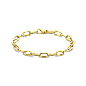 armband 6 mm 18,5 cm 14K geelgoud