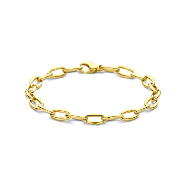 armband 6 mm 18,5 cm 14K geelgoud