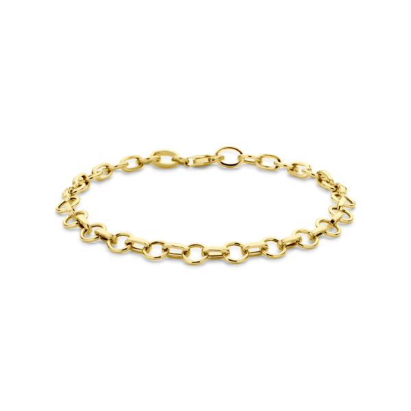 armband 6 mm 19 cm 14K geelgoud