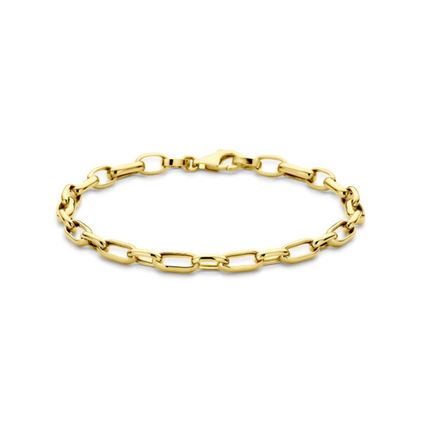 armband anker 4,8 mm 19 cm 14K geelgoud