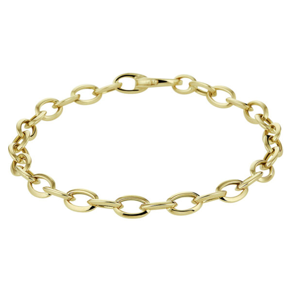 armband anker 5,7 mm 19 cm 14K geelgoud