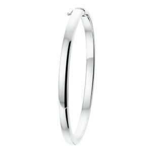 bangle scharnier bolle buis 4 x 60 mm zilver wit