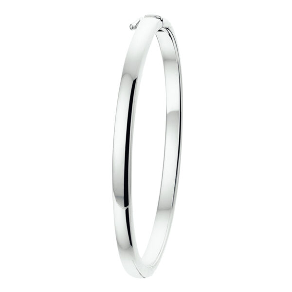 bangle scharnier bolle buis 4 x 60 mm zilver wit