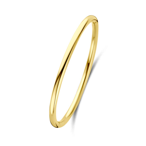 bangle scharnier ion plating ronde buis 4,0 mm 60 mm edelstaal