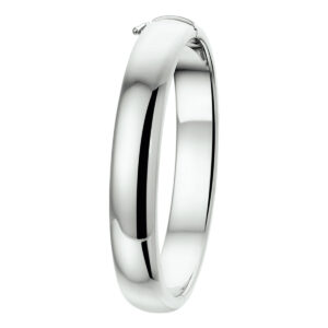 bangle scharnier massief 10 x 60 mm zilver gerhodineerd