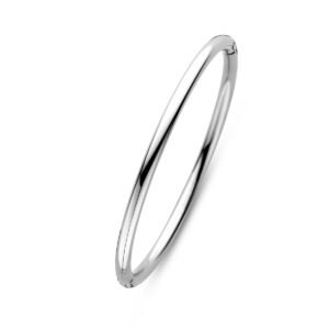 bangle scharnier ronde buis 4 mm 60 mm edelstaal