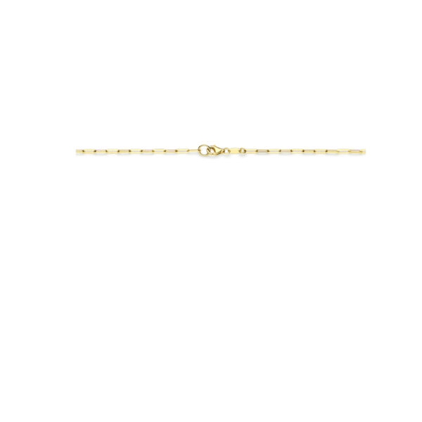 collier 2,1 mm 42 cm 14K geelgoud - Afbeelding 3