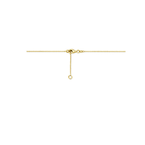 collier 42 - 45 cm 14K geelgoud - Afbeelding 3