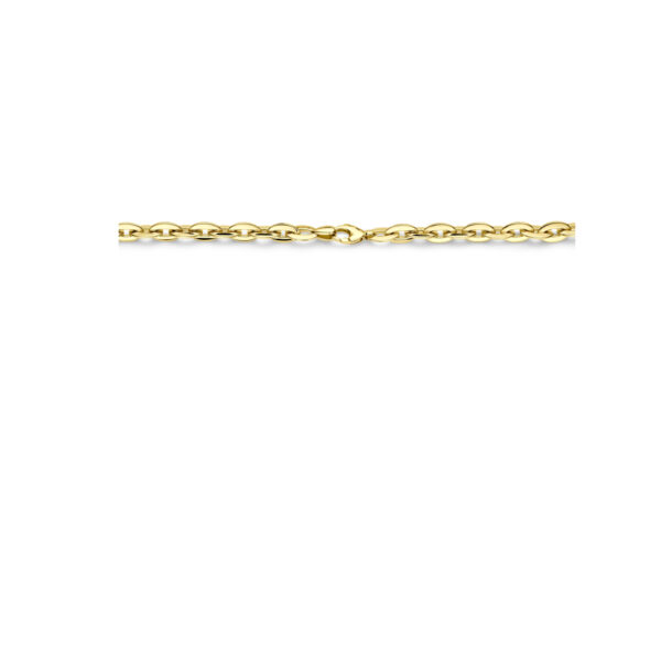 collier 8,5 mm 45,5 cm 14K geelgoud - Afbeelding 3