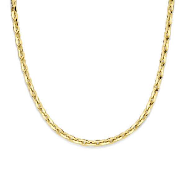 collier 8,5 mm 45,5 cm 14K geelgoud