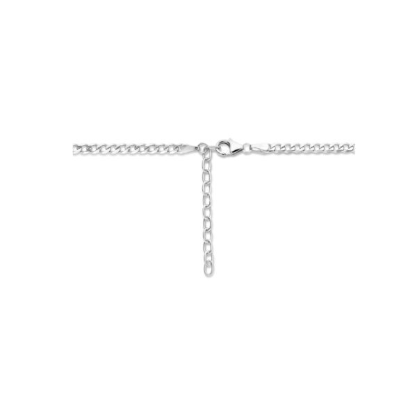 collier gourmette 3,0 mm 41 + 4 cm zilver gerhodineerd - Afbeelding 3