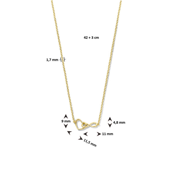 collier hart en infinity 42 + 3 cm 3 micron zilver verguld (geel) - Afbeelding 4