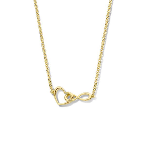 collier hart en infinity 42 + 3 cm 3 micron zilver verguld (geel)