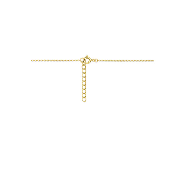 collier hartje parelmoer medaillon 42 + 3 cm 3 micron zilver verguld (geel) - Afbeelding 3