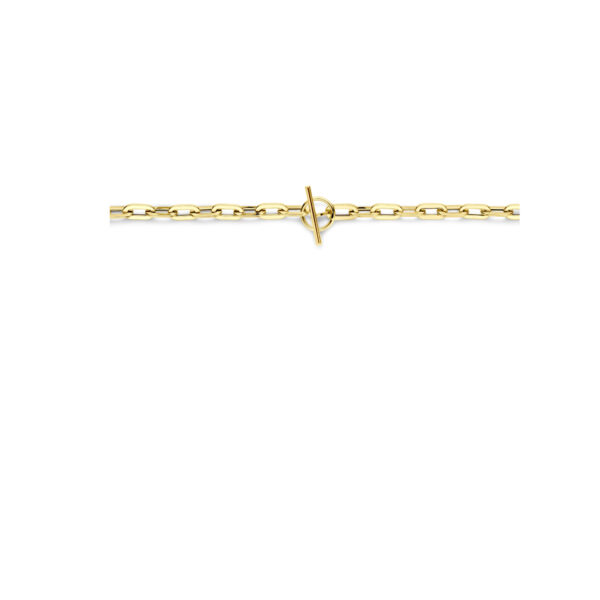 collier kapittelslot 5,5 mm 45 cm 14K geelgoud - Afbeelding 3