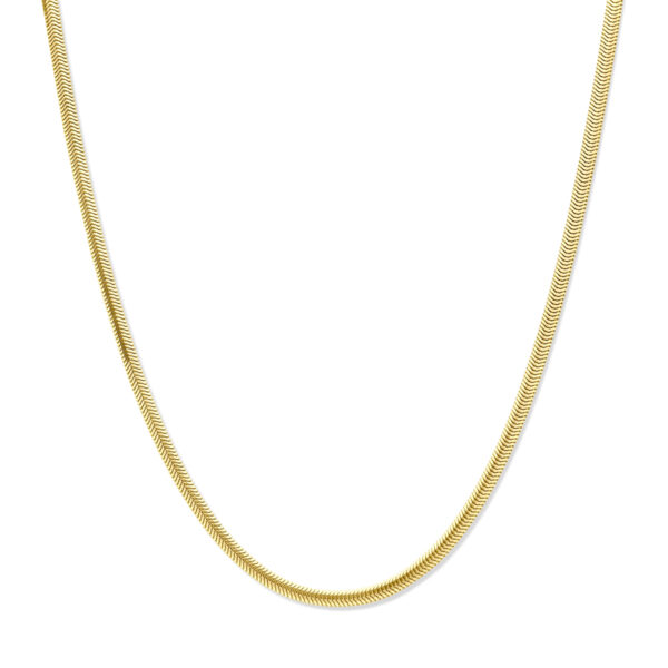 collier plat slang 3,0 mm 45 cm 14K geelgoud