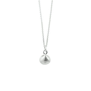 collier schelp 41 + 4 cm zilver wit