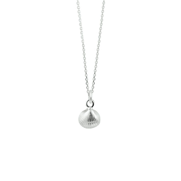 collier schelp 41 + 4 cm zilver wit