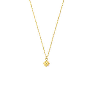 collier zon 40 - 42 cm 14K geelgoud