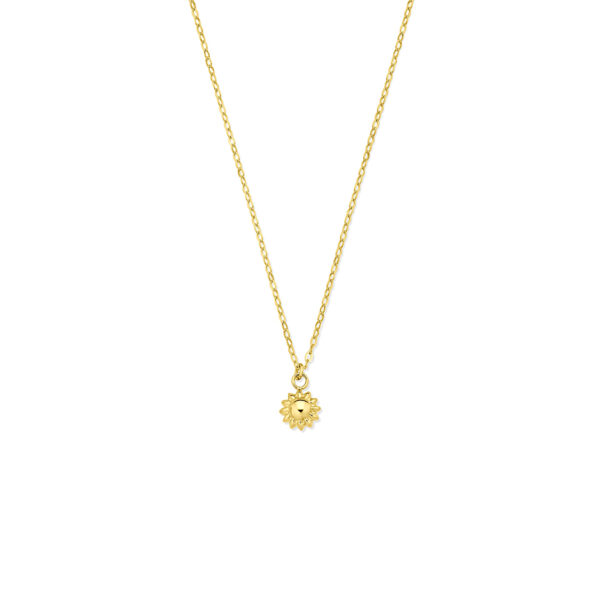 collier zon 40 - 42 cm 14K geelgoud