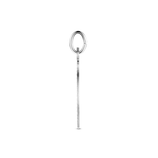 graveerhanger 26 mm zilver gerhodineerd - Afbeelding 3