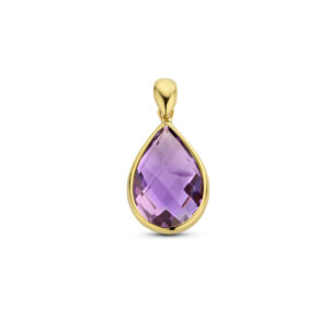hanger amethist 14K geelgoud