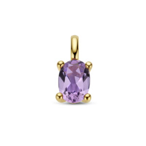 hanger amethist 14K geelgoud