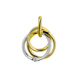 hanger diamant 0.02ct h si 14K bicolor goud geel/wit