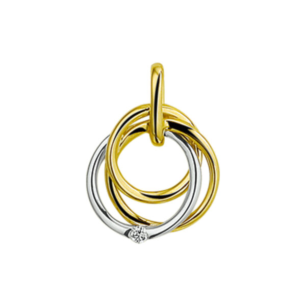 hanger diamant 0.02ct h si 14K bicolor goud geel/wit