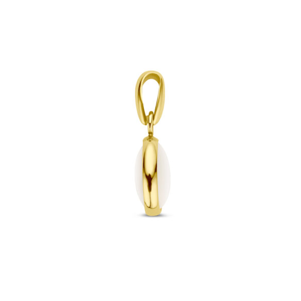 hanger parelmoer 14K geelgoud - Afbeelding 3