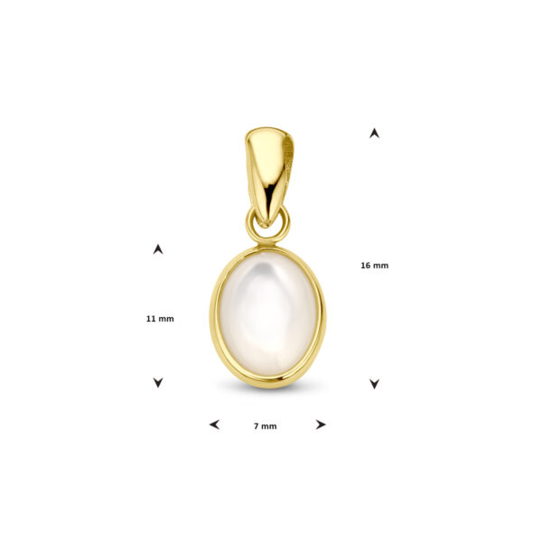 hanger parelmoer 14K geelgoud - Afbeelding 4
