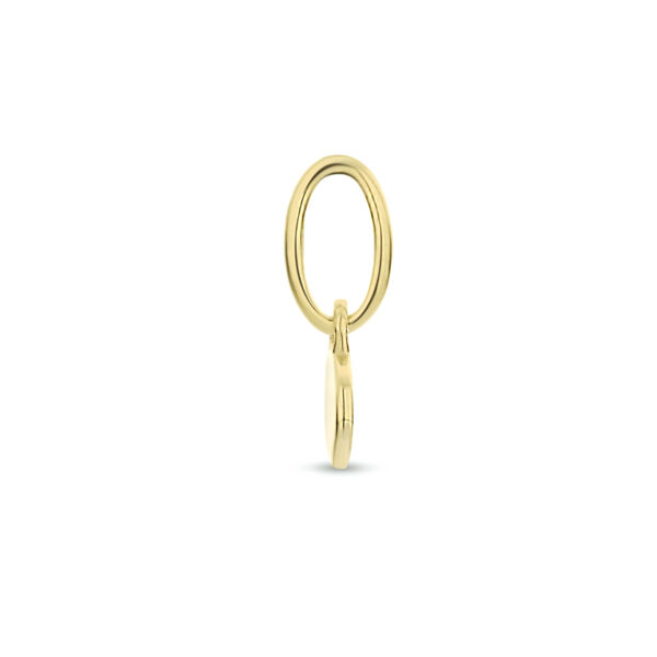 hanger rond 14K geelgoud - Afbeelding 3