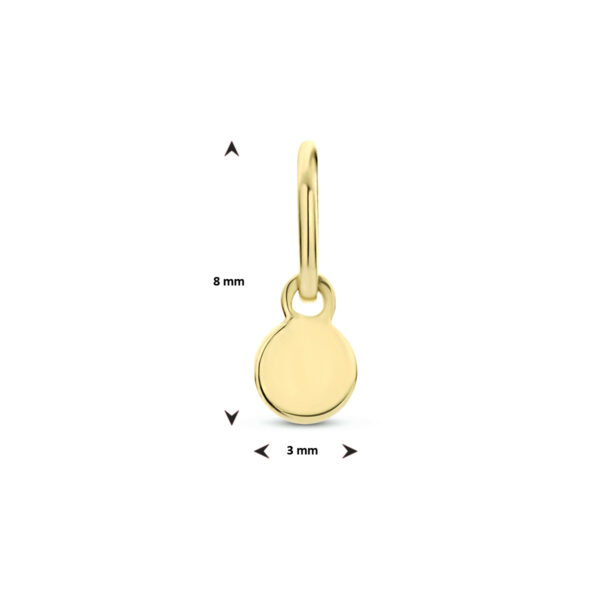 hanger rond 14K geelgoud - Afbeelding 4
