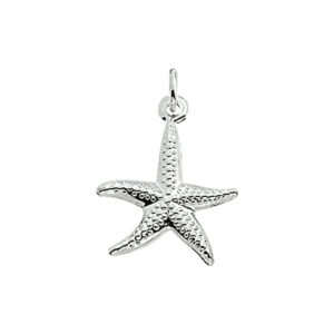 hanger zeester zilver wit