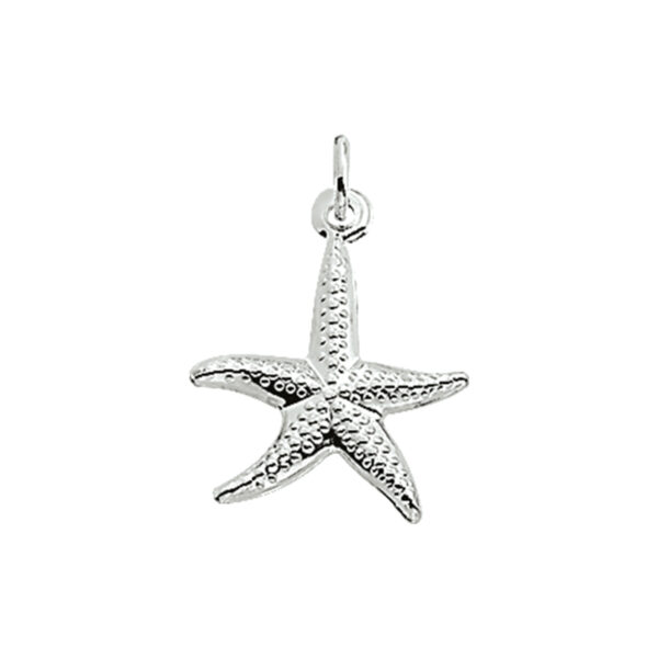 hanger zeester zilver wit