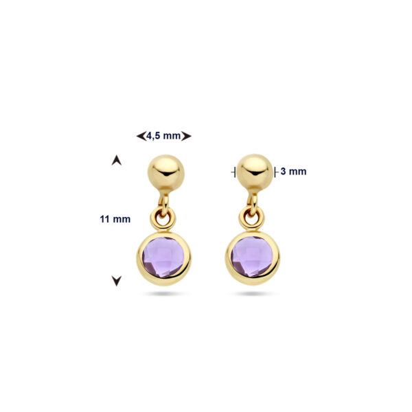 oorhangers amethist 14K geelgoud - Afbeelding 4