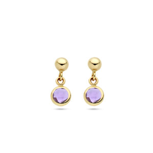 oorhangers amethist 14K geelgoud