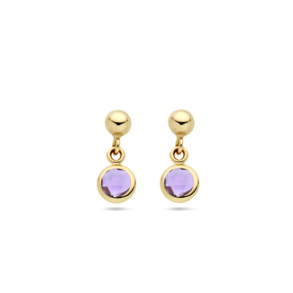 oorhangers amethist 14K geelgoud