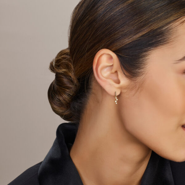 oorhangers zirkonia 14K geelgoud - Afbeelding 2