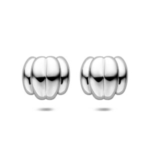 oorknoppen 23 mm edelstaal