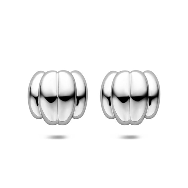 oorknoppen 23 mm edelstaal