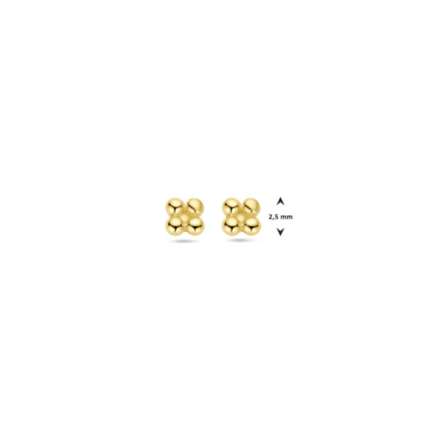 oorknoppen bol 2,5 mm 14K geelgoud - Afbeelding 4