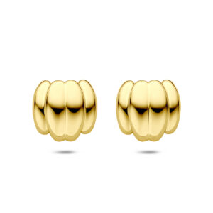 oorknoppen ion plating 23 mm edelstaal