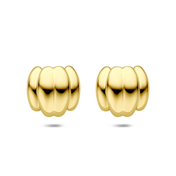 oorknoppen ion plating 23 mm edelstaal