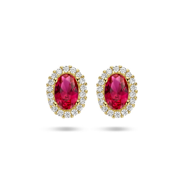 oorknoppen rood en wit zirkonia halo 14K geelgoud